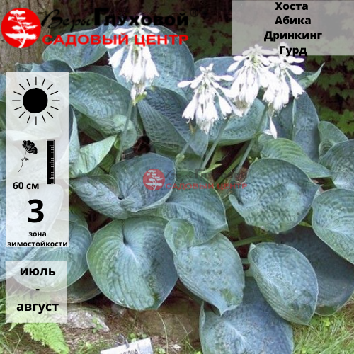 Основное изображение товара