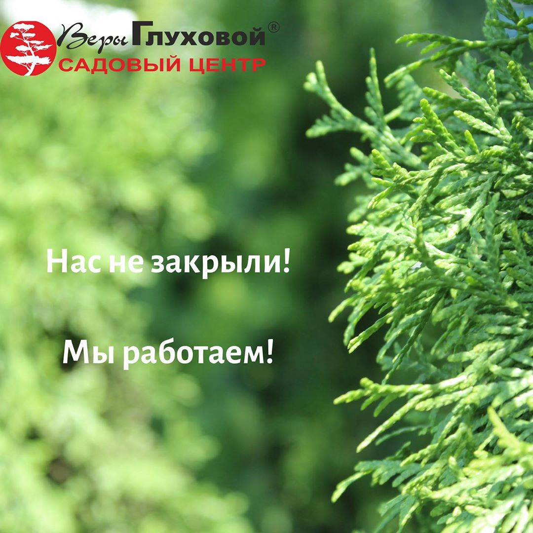 Садовый центр продолжает работать Садовый центр продолжает работать