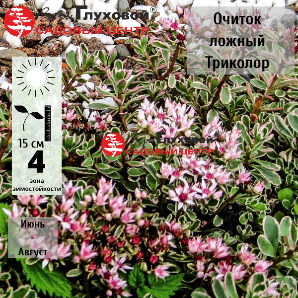 Основное изображение товара