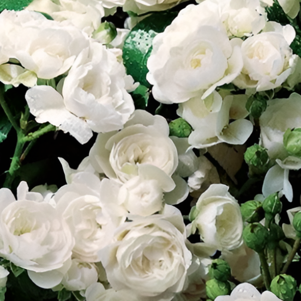 Основное изображение товара