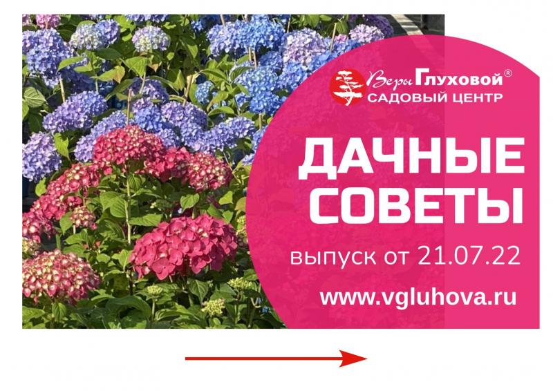 «Дачные советы» новый выпуск от 21.07.2022