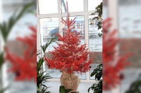 Пришел декабрь, выпал первый снег и уже на носу новогодние праздники.  Пришло время дарить всем хорошее веселое предпраздничное настроение!