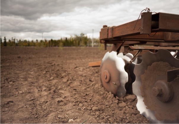 Оценка почвы Оценка почвы