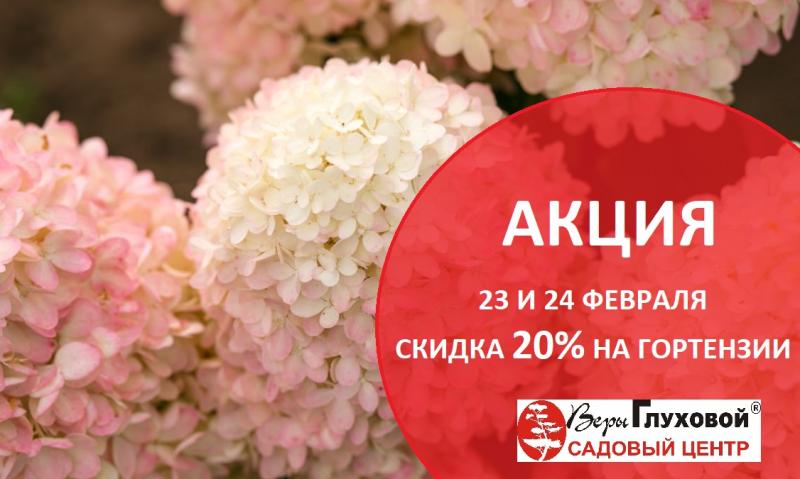 СКИДКА 20% НА ДРЕВОВИДНЫЕ И МЕТЕЛЬЧАТЫЕ СОРТА ГОРТЕНЗИЙ