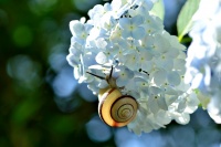 3 дня до старта благотворительной акции