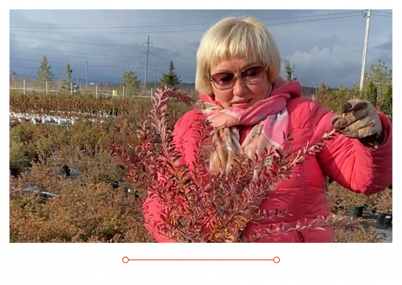 Россия 1 новый выпуск от 22.10.21