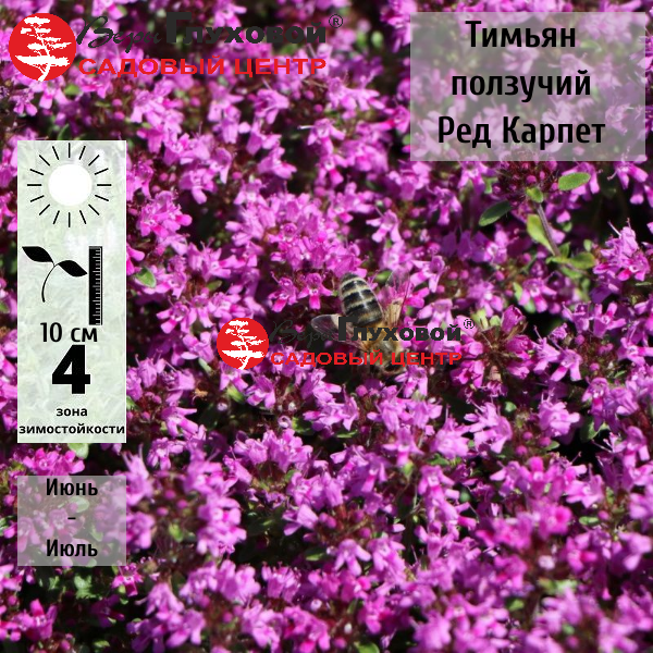 Основное изображение товара