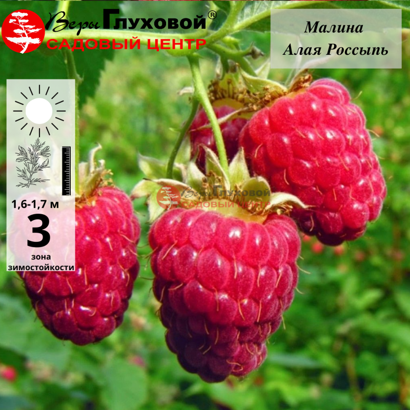 Рисунок 115.jpg