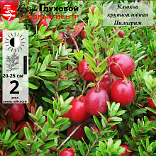 Рисунок 1.jpg