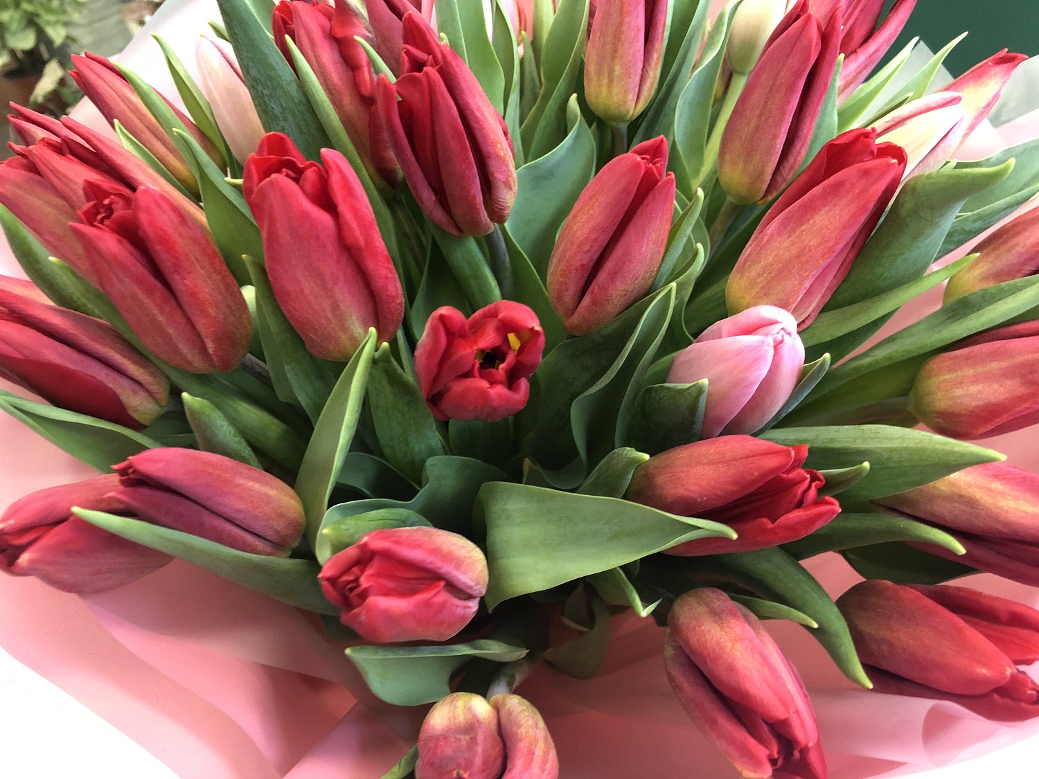 Дорогие друзья!