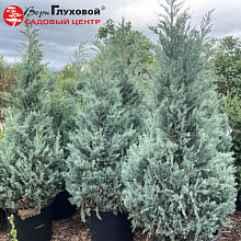 Основное изображение товара