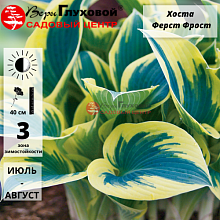 Основное изображение товара