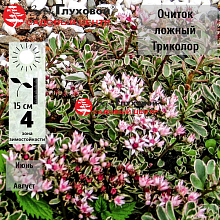 Основное изображение товара