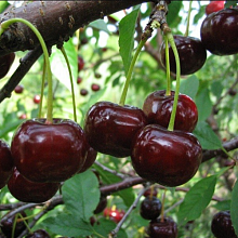 Рисунок 21.jpg