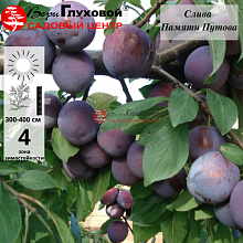 Рисунок 195.jpg