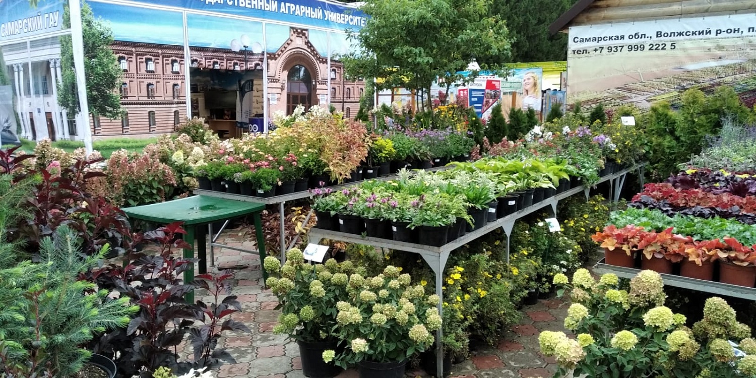 10 - 11 сентября в Усть-Кинельский состоялось открытие XXIII Поволжской агропромышленной выставки.