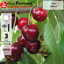 Основное изображение товара