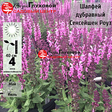 Основное изображение товара