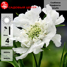 Основное изображение товара