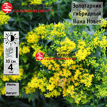 Основное изображение товара