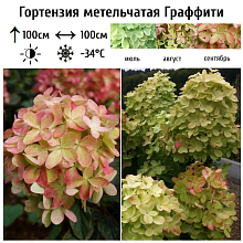 Основное изображение товара