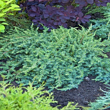 Основное изображение товара