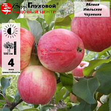 Основное изображение товара